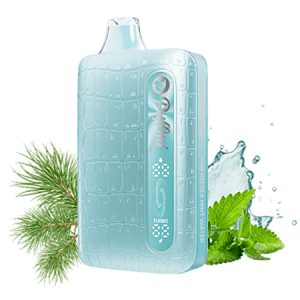 Купить Puffmi Dura 9000 Plus - Хвойная Мята по цене 1&nbsp;250 руб.